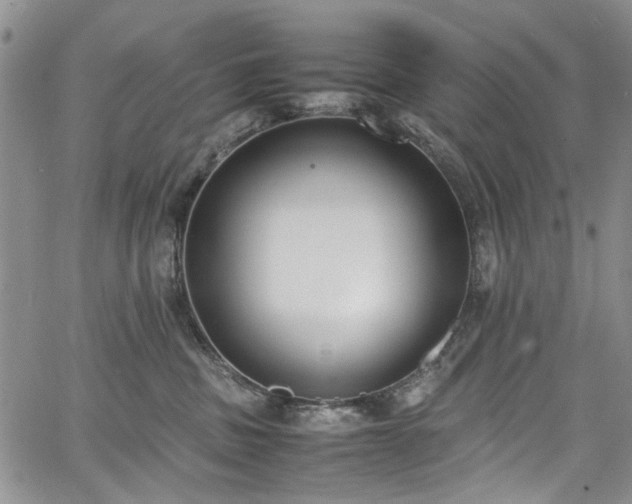 X0000067950379200604201437