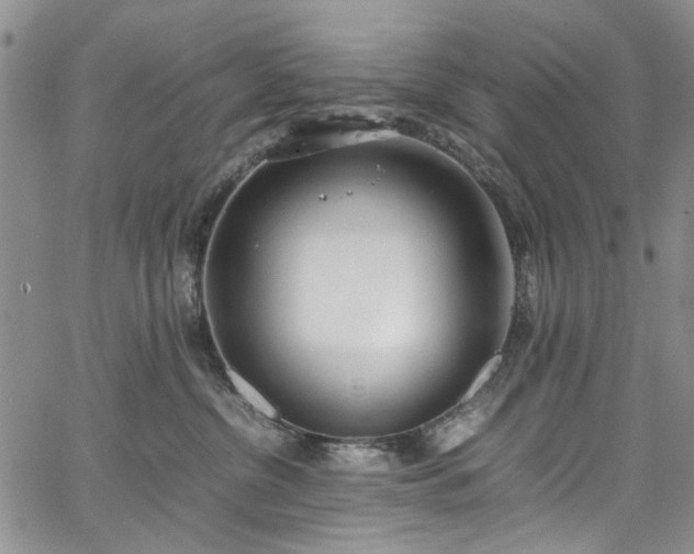 X0000067950380200604201437