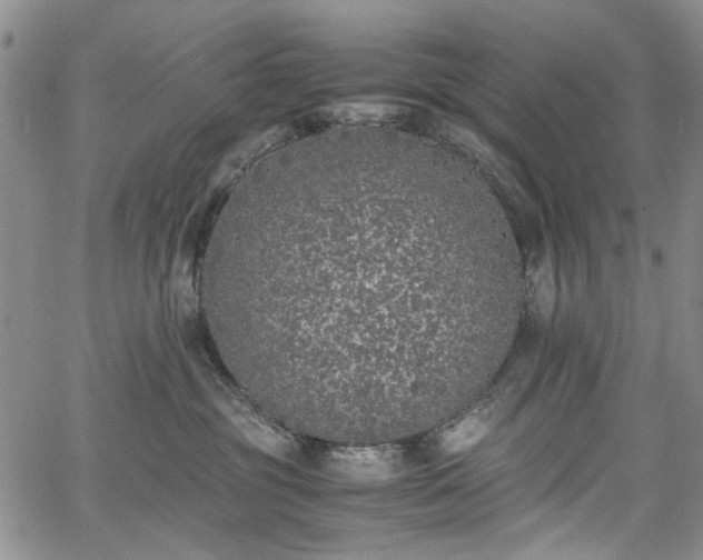 X0000067950381200604201437