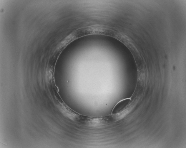 X0000067950382200604201437