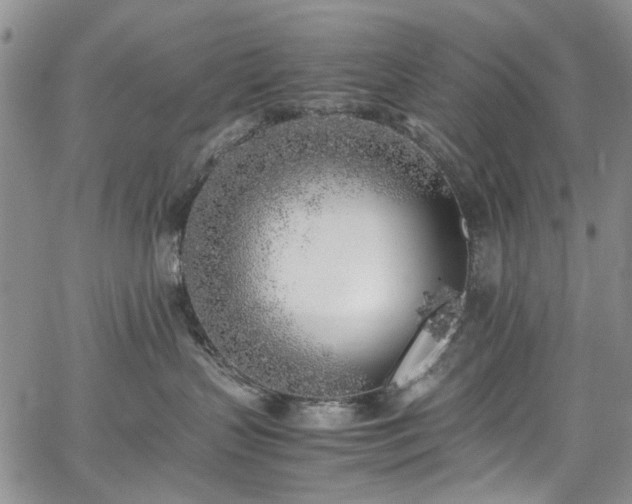 X0000067950383200604201437