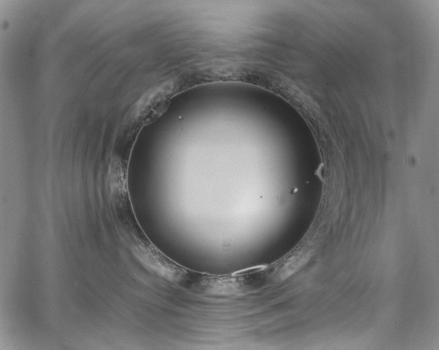 X0000067950384200604201437