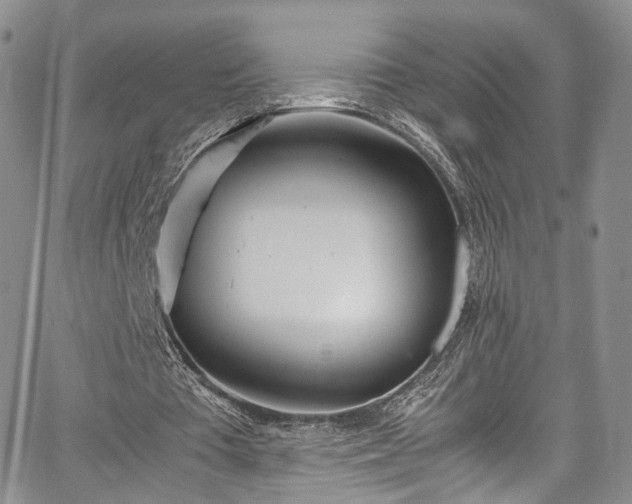 X0000067950385200604201436