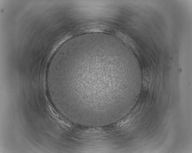 X0000067950386200604201436