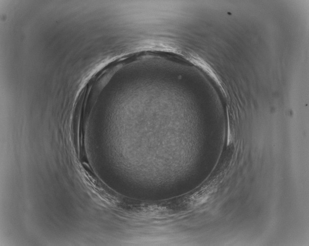 X0000067950387200604201436