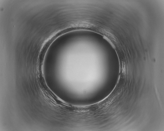 X0000067950388200604201436