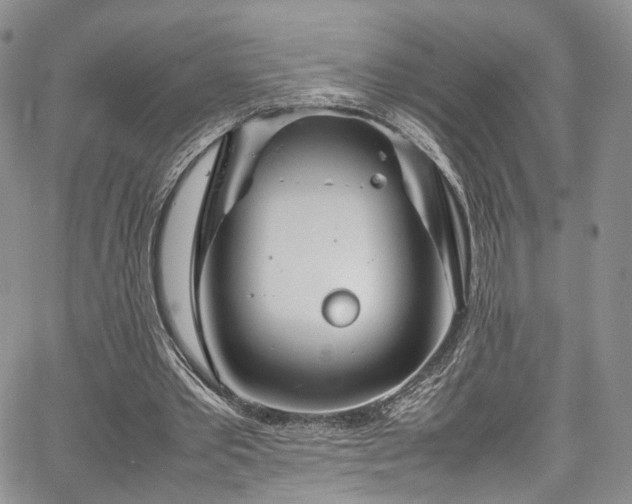 X0000067950389200604201436