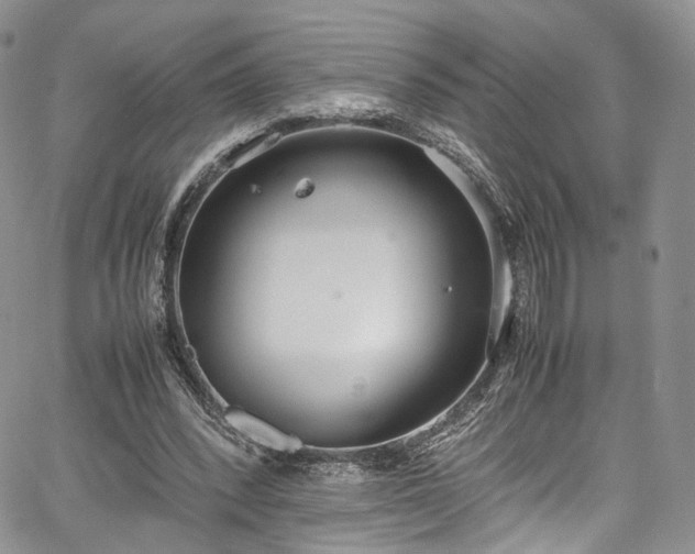 X0000067950392200604201436