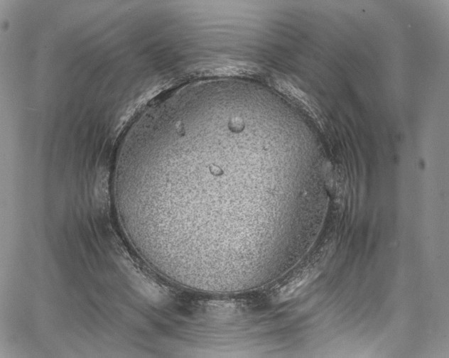 X0000067950394200604201436