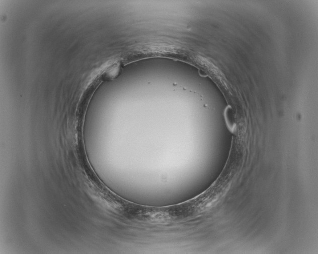 X0000067950395200604201436