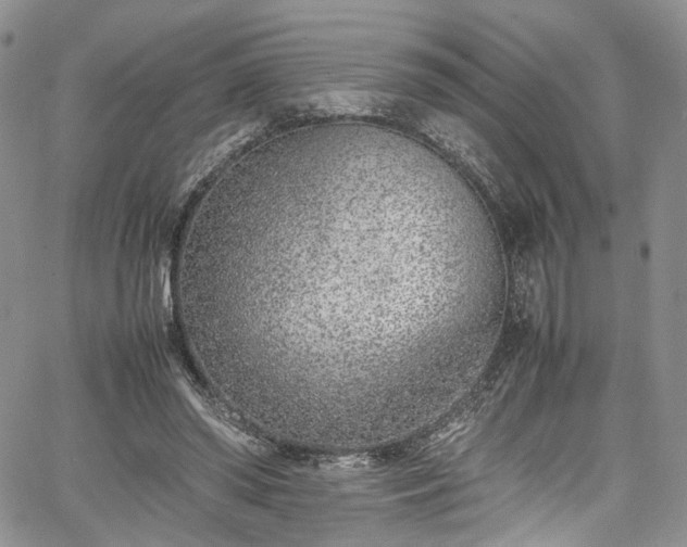 X0000067950398200604201436