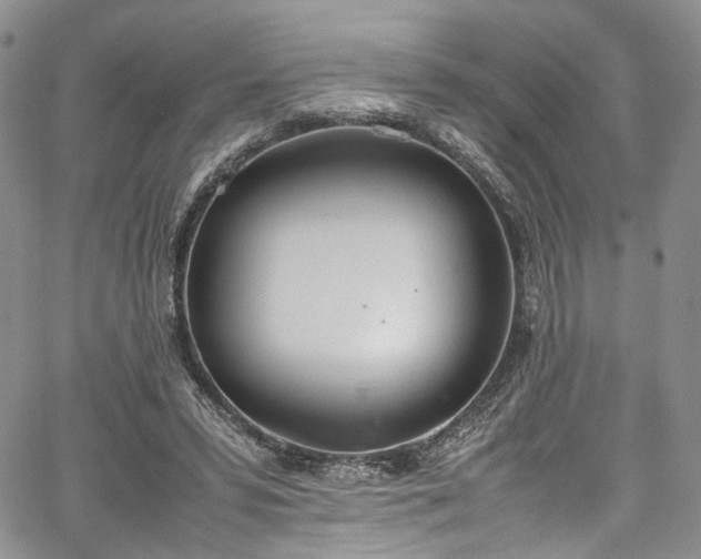 X0000067950399200604201436