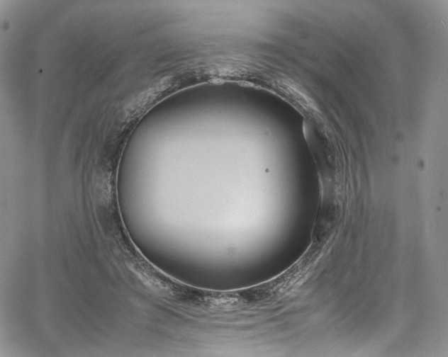 X0000067950401200604201436