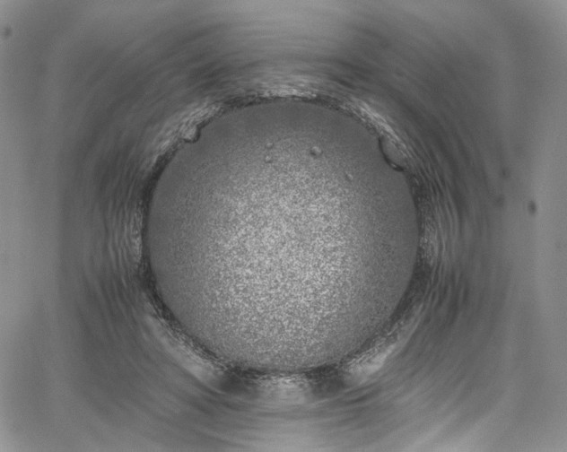 X0000067950402200604201436