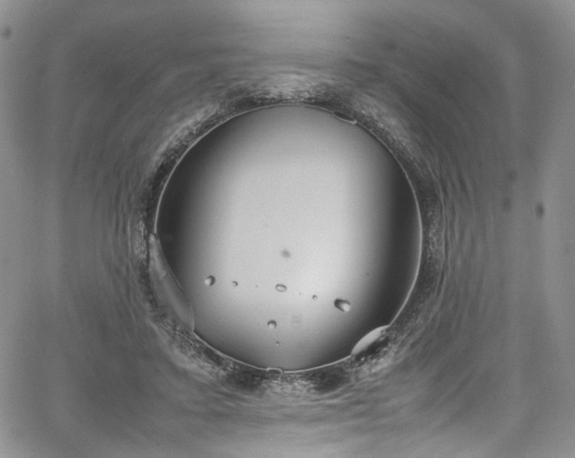 X0000067950403200604201436