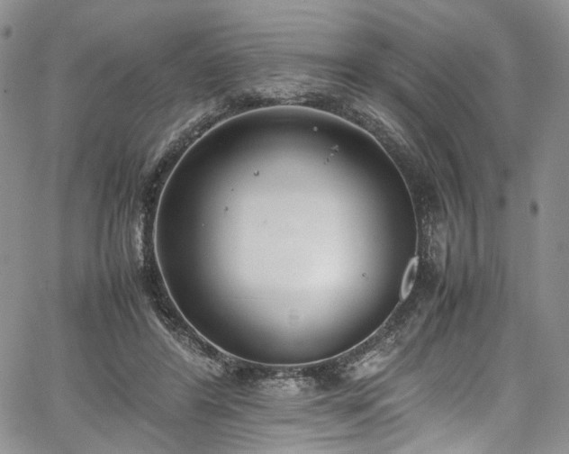 X0000067950404200604201436