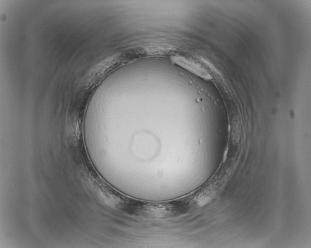 X0000067950405200604201436