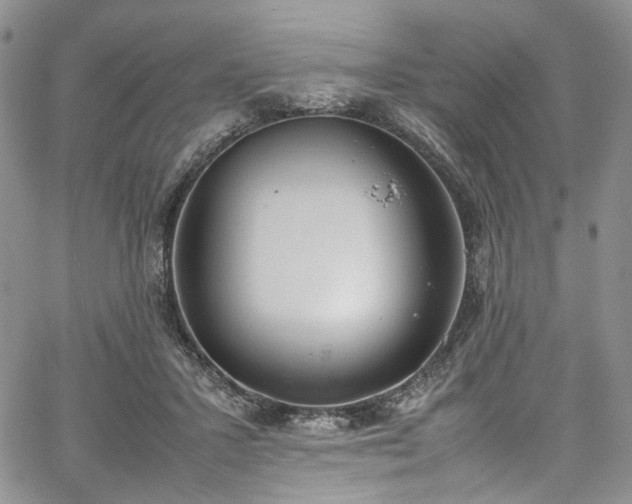 X0000067950407200604201436