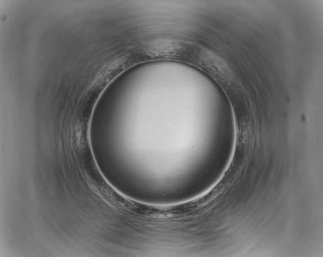 X0000067950408200604201436