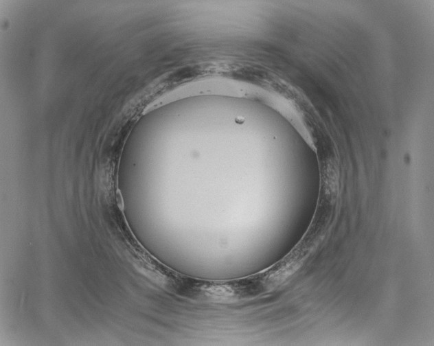 X0000067950409200604201436