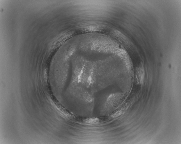 X0000067950410200604201436