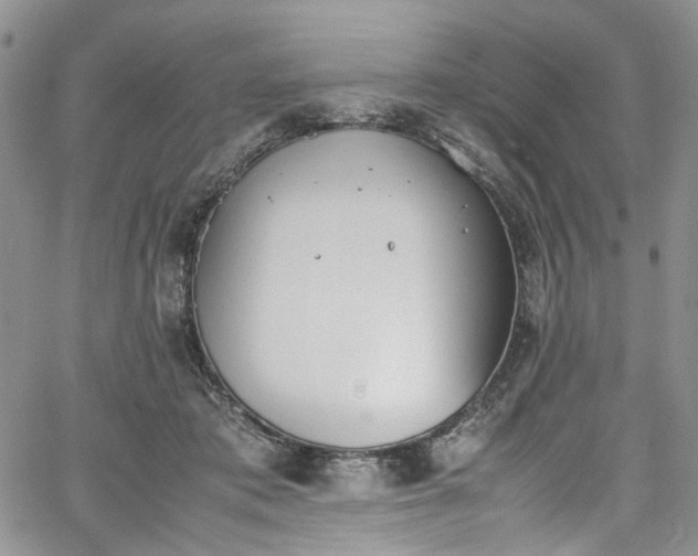 X0000067950413200604201436