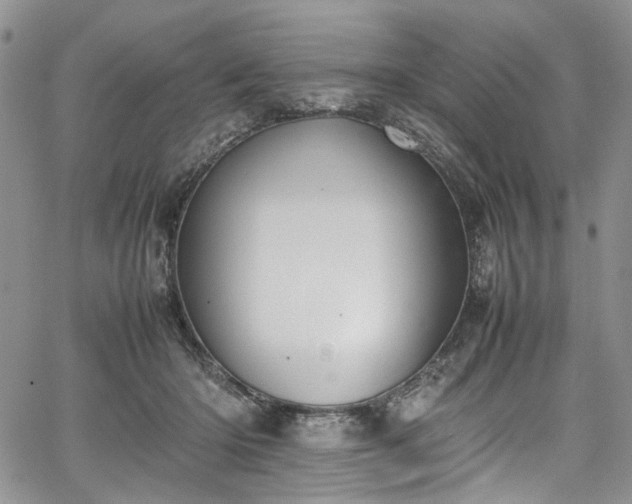 X0000067950414200604201436