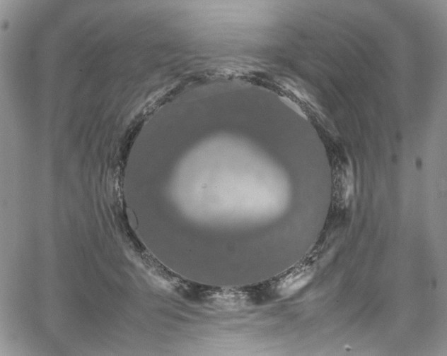 X0000067950415200604201436