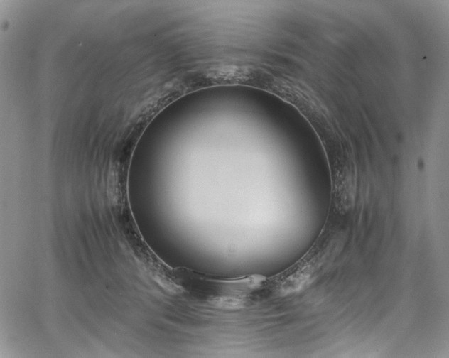 X0000067950416200604201436