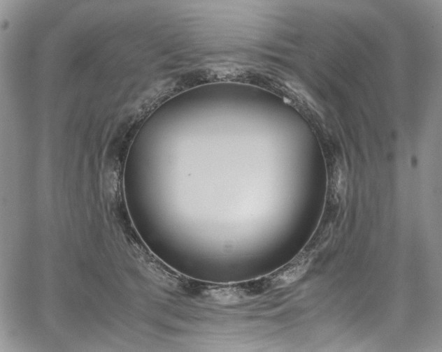 X0000067950417200604201436