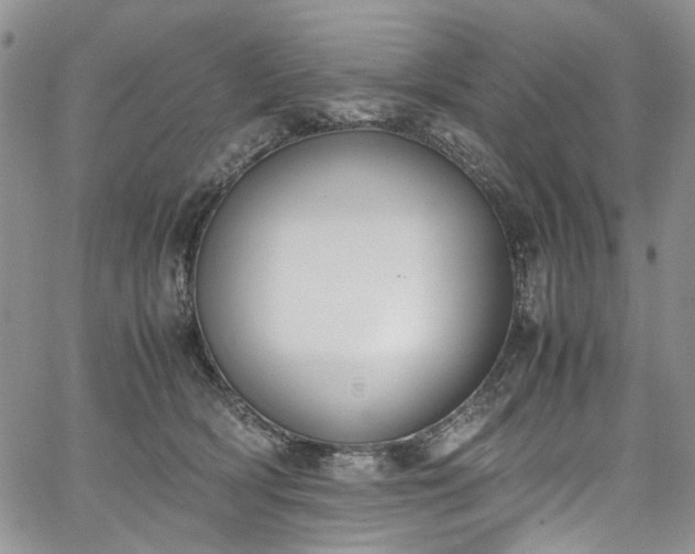 X0000067950418200604201436