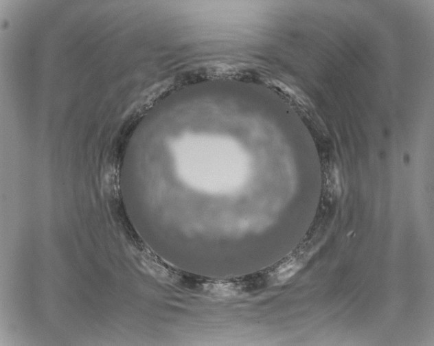 X0000067950419200604201436