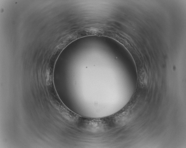 X0000067950420200604201436