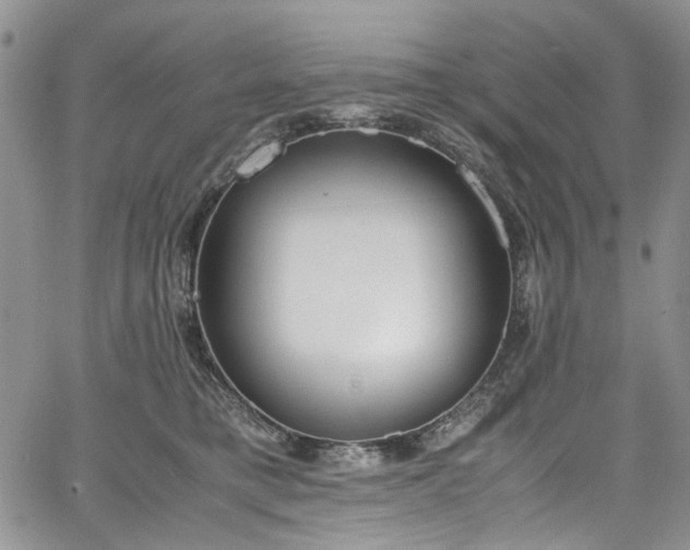 X0000067950421200604201436