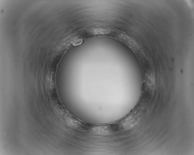 X0000067950422200604201436