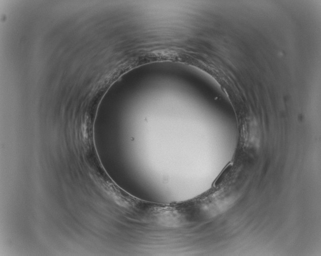 X0000067950424200604201436