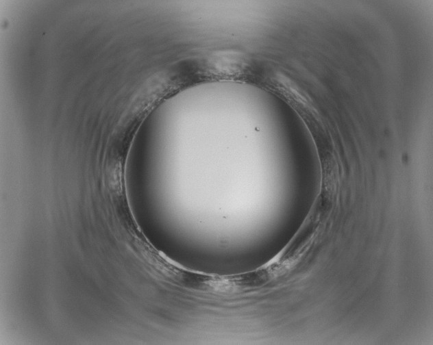 X0000067950425200604201436