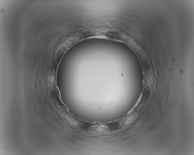 X0000067950427200604201436