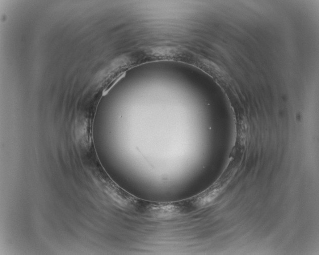 X0000067950428200604201436