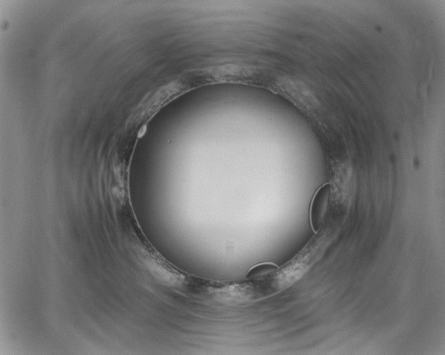 X0000067950430200604201436