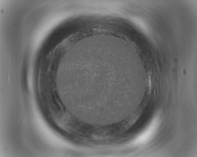 X0000067950431200604201436