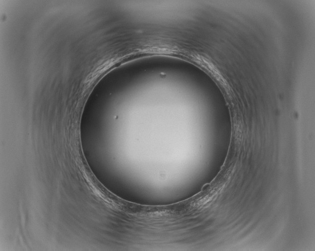 X0000067950433200604201435