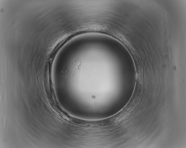 X0000067950434200604201435