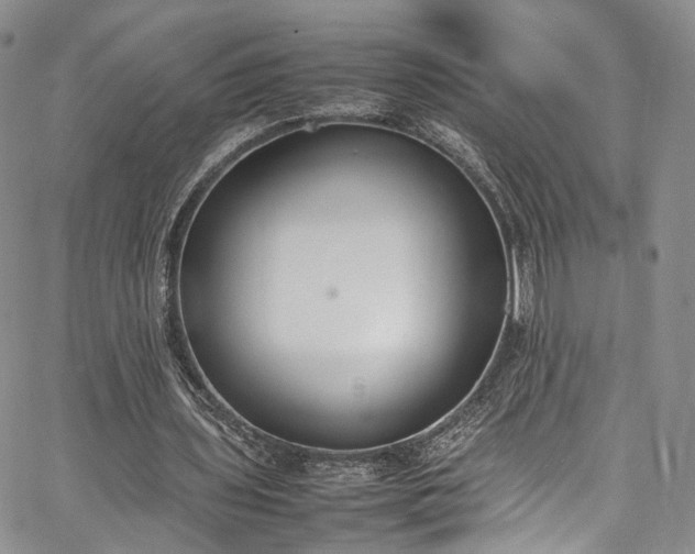 X0000067950435200604201435