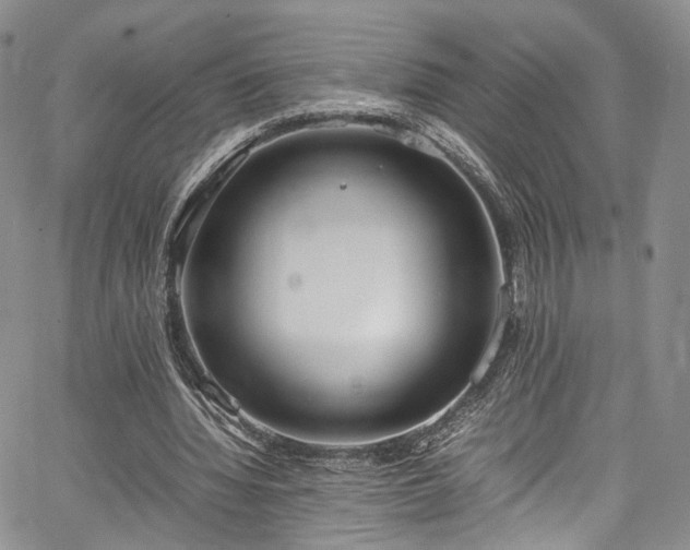 X0000067950436200604201435