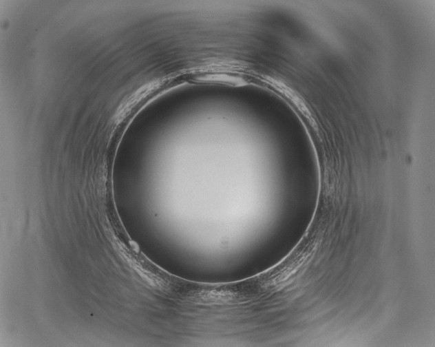 X0000067950437200604201435