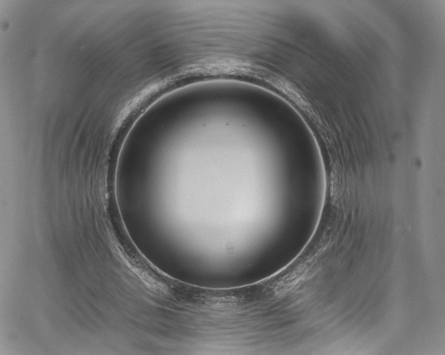 X0000067950438200604201435