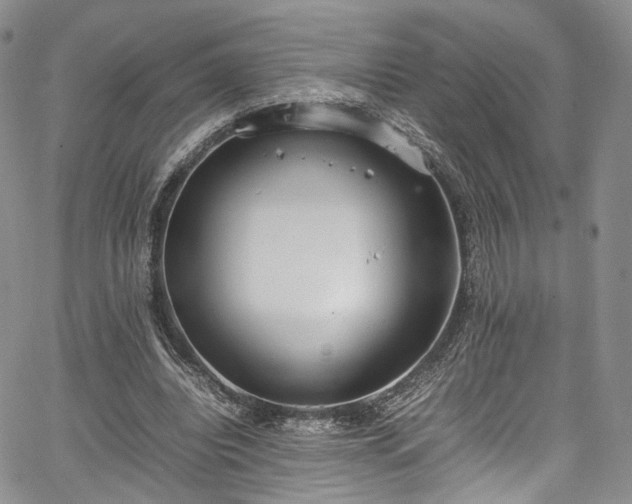 X0000067950440200604201435