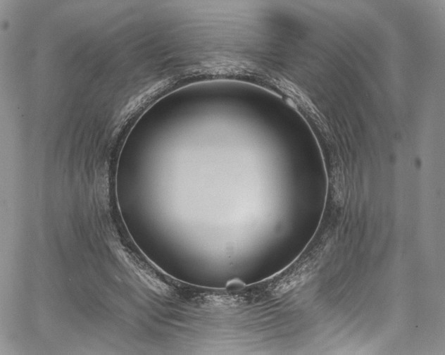 X0000067950442200604201435