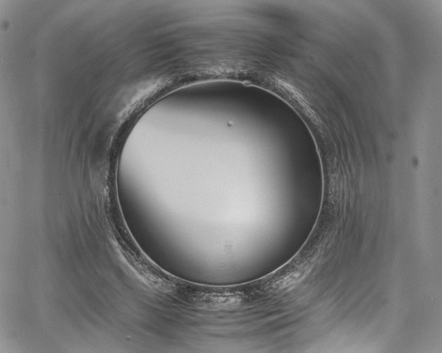 X0000067950443200604201435